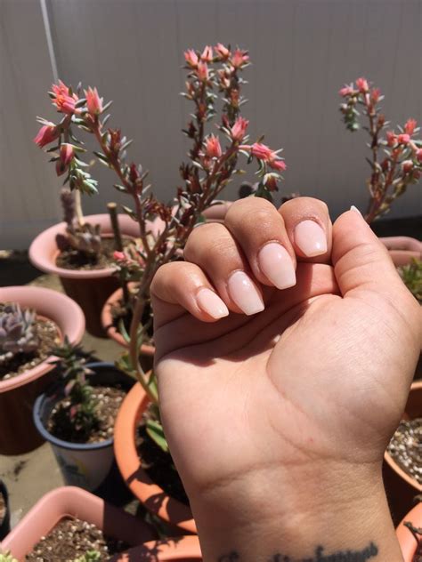 foothills nail salon